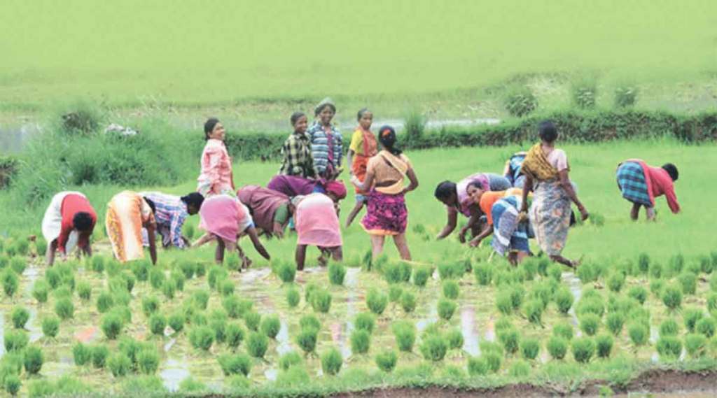 micro Irrigation scheme promoted by government through various schemes