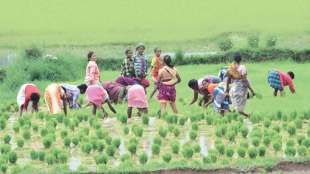 micro Irrigation scheme promoted by government through various schemes