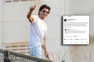 shah rukh khan reply to his fan who asked whether his pregnant wife can watch dunki or not