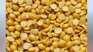 Tur dal prices reduced in agricultural produce market committees of West Vidarbha