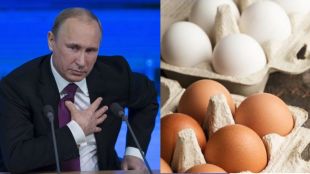 vladimir putin on egg price hike