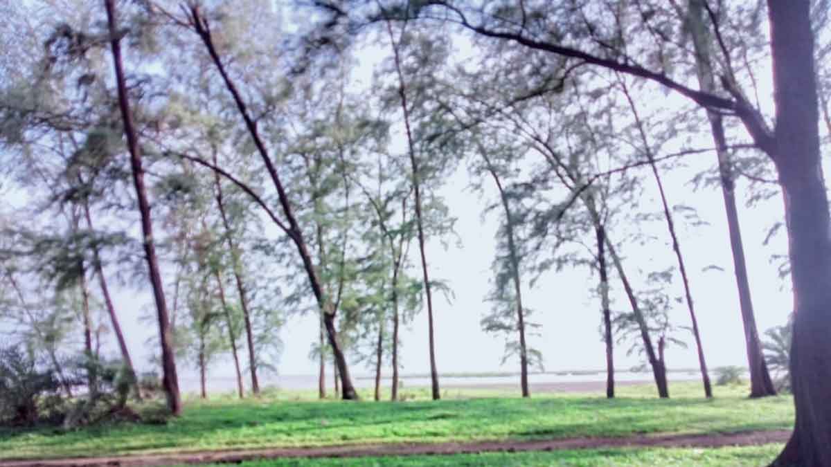 wadhavan port environment related public hearing postponed for 19th january