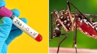 Zika virus case, ZIKV infection, precautions, appeal, District Health Department, citizens
