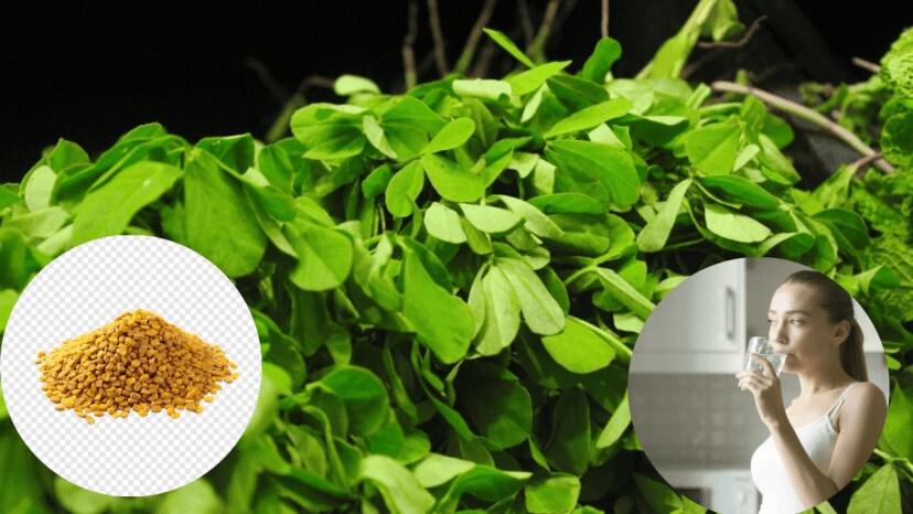 Why You Should Start Your Day With Fenugreek Seeds 