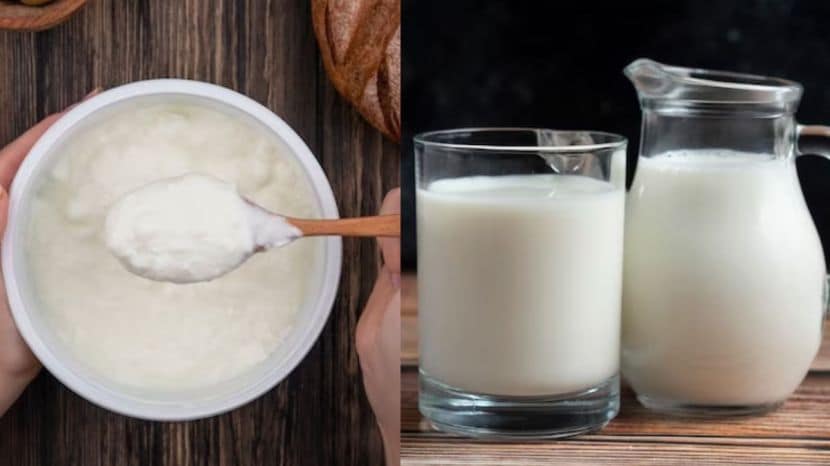 Buttermilk or Curd 
