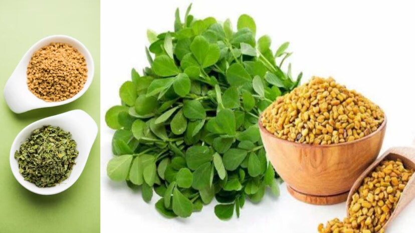 Why You Should Start Your Day With Fenugreek Seeds 