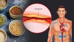Flaxseeds Reduced Bad Cholesterol