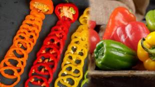Red Vs Green Vs Yellow Bell Pepper Which Is Better