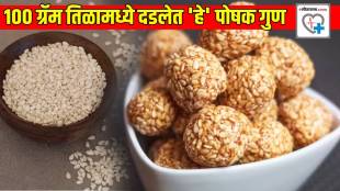 100 gram Sesame Seeds Til Nutrition Profile Makarsankranti Til Laddoo will get double Benefits Dibetes Patiant Can Eat or Not