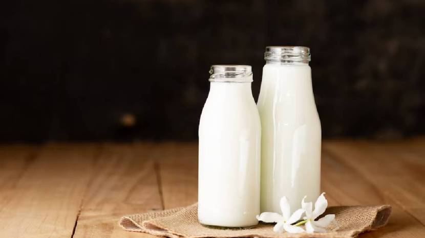 Six Health Benefits Of Goat Milk Its Easy To Digest As Compared To Cow Milk