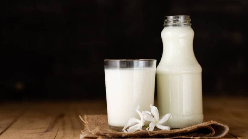 Six Health Benefits Of Goat Milk Its Easy To Digest As Compared To Cow Milk