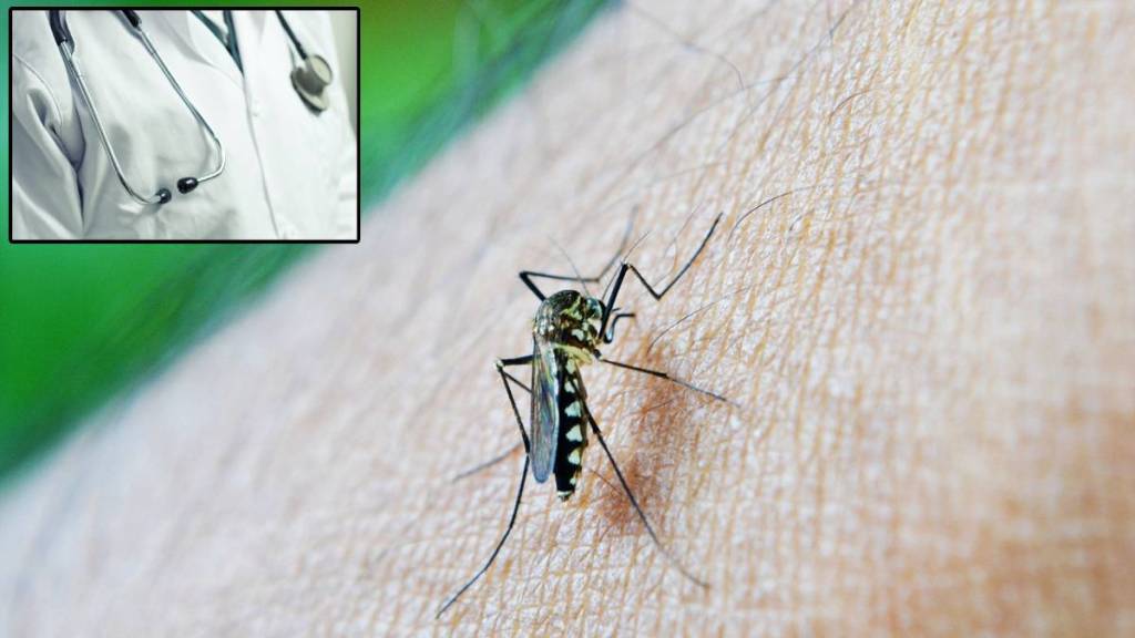 How to treat dengue fever