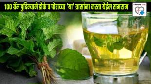 Pudina Detox 100-gram of peppermint leaves Helps To Release Nerves Digestion Doctor Explains Nutrition Calories In Pudina Leaves