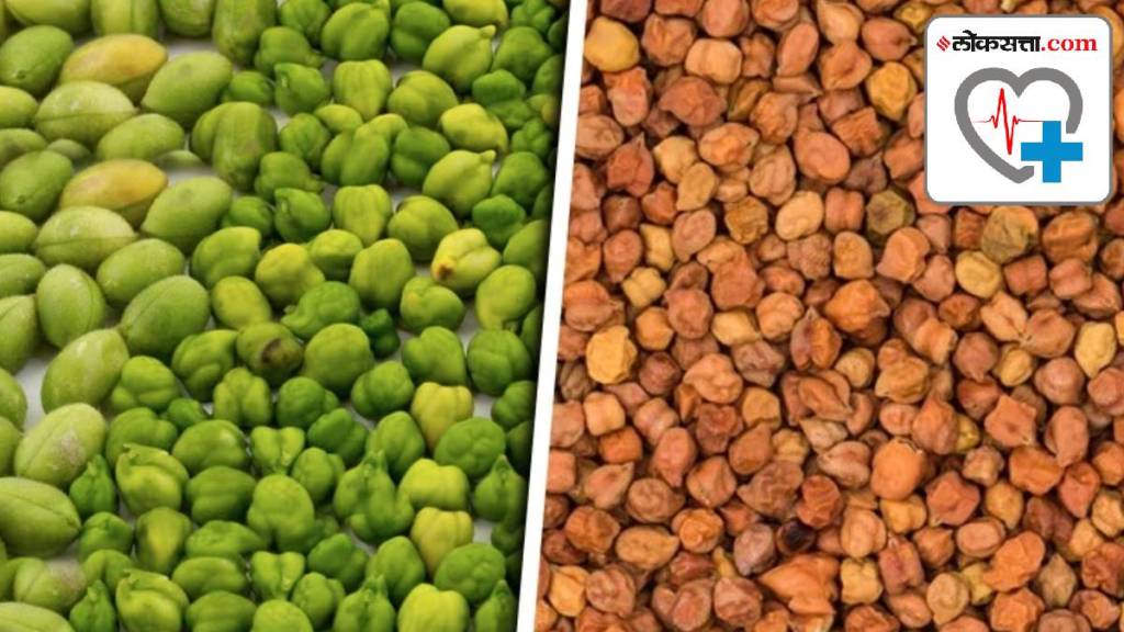 nutrition alert green chana choliya green chickpea health benefits Heres what a 100 gram serving of green chana contains