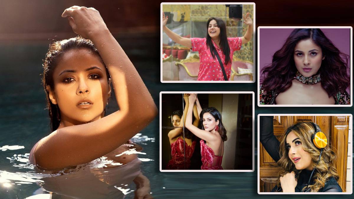Shehnaaz Gill Birthday special punjab to bollywood journey