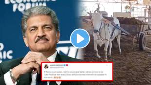anand mahindra shares a video of a hardworking and honest ramu ox and compare with motivational speakers watch