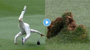 Sydney Cricket Ground Video Viral