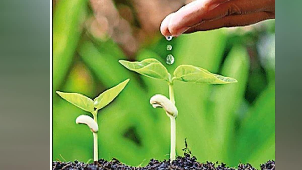  recruitment of water conservation officer posts of