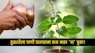 Tulsi Watering Rules