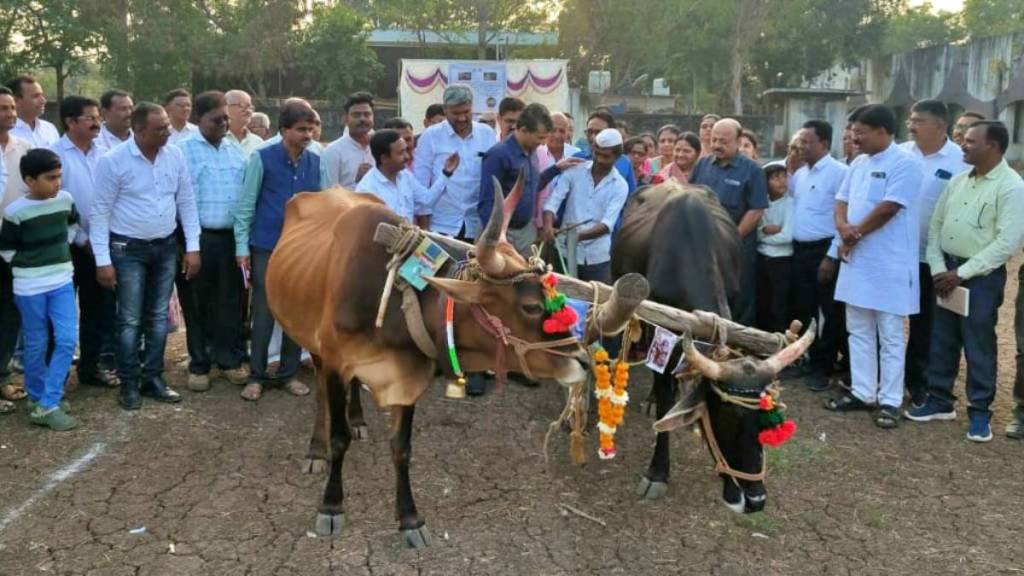 Vidrohi Sahitya Sammelan Jalgaon