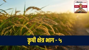 Kharif and Rabi Crop