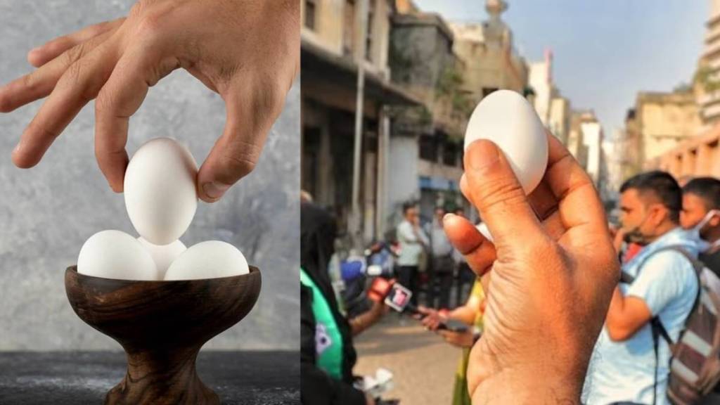 देशभरात अंड्यांच्या किमती वाढण्याचं कारण काय? Why eggs prices rising