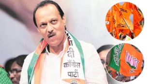 Deputy Chief Minister Ajit Pawar appointed four members NCP District Planning Committee excluding the Guardian Minister bjp shivsena