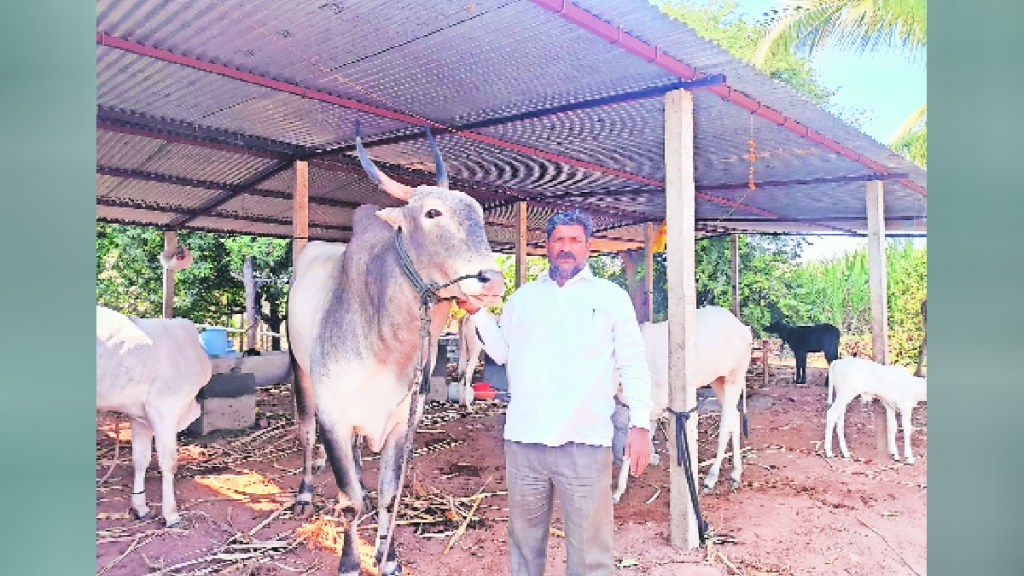 Animal husbandry healthy life Agriculture and Farmers