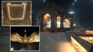 Stunning pictures of Ram Mandir bathed in nightlight, see temple features from inside