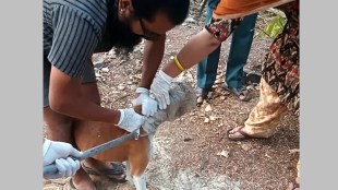 wardha dog news in marathi, wardha dog rescued after 26 days news in marathi
