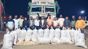 50 lakhs ganja seized news in marathi, nagpur police seized ganja of rupees 50 lakhs