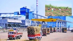 sugar commissioner in marathi, condition of 25 km air distance between sugar factories