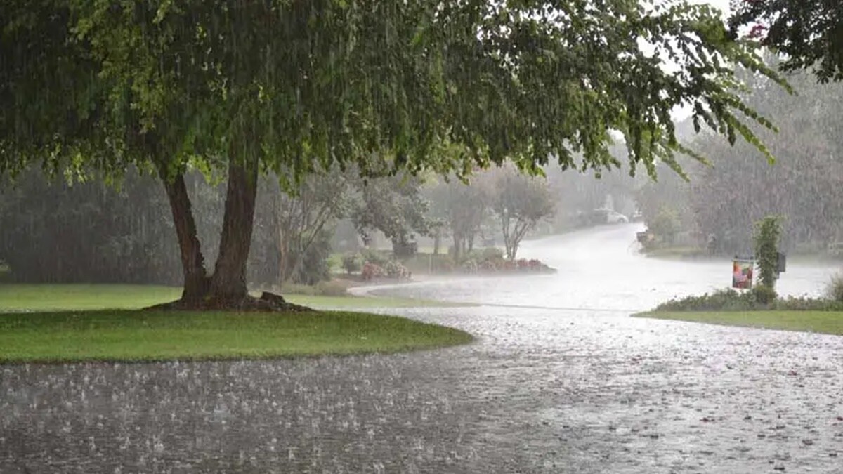 unseasonal rain forecast maharashtra news in marathi, unseasonal rain in maharashtra