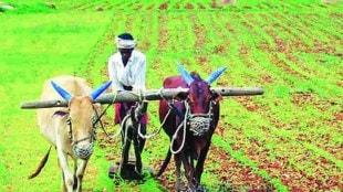 yavatmal farmers marathi news, opportunity for farmers to study abroad marathi news