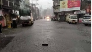 gondia district unseasonal rain marathi news, gondia rain news in marathi