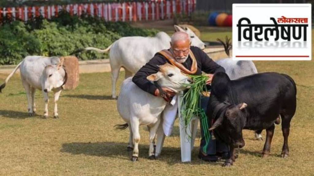 cow-modi