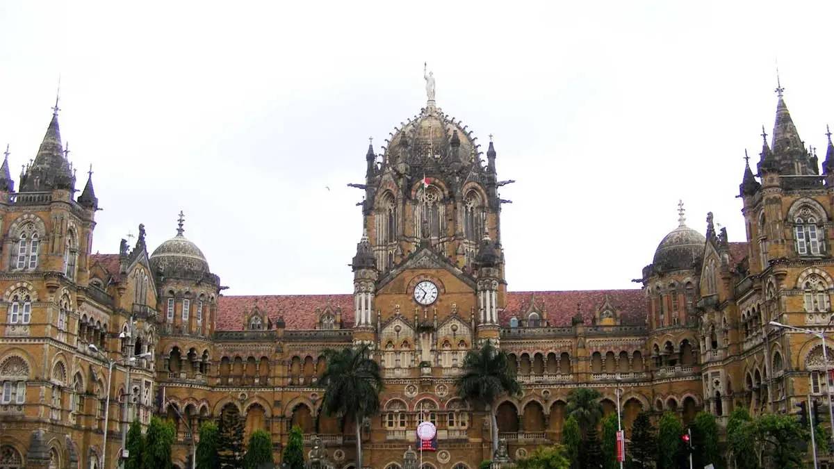 trees cut for cstm redevelopment