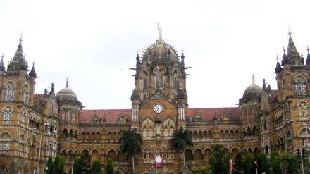 trees cut for cstm redevelopment