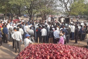farmers onion export ban Lasalgaon market stop auction nashik