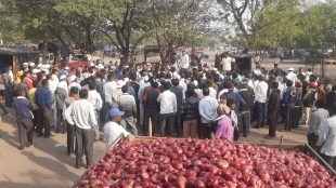 farmers onion export ban Lasalgaon market stop auction nashik