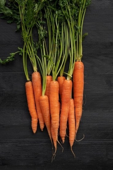 foods-for-healthy-blood-circulation