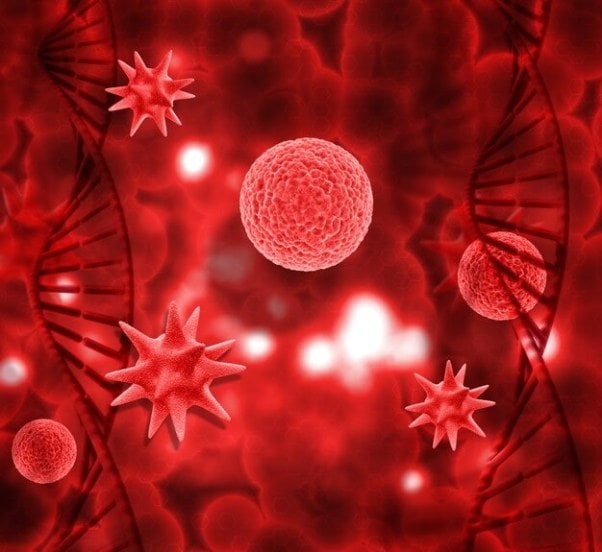 foods-for-healthy-blood-circulation