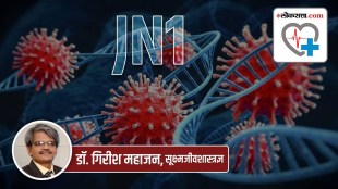 new coronavirus variant jn 1 how it was created coronavirus variant jn 1 name