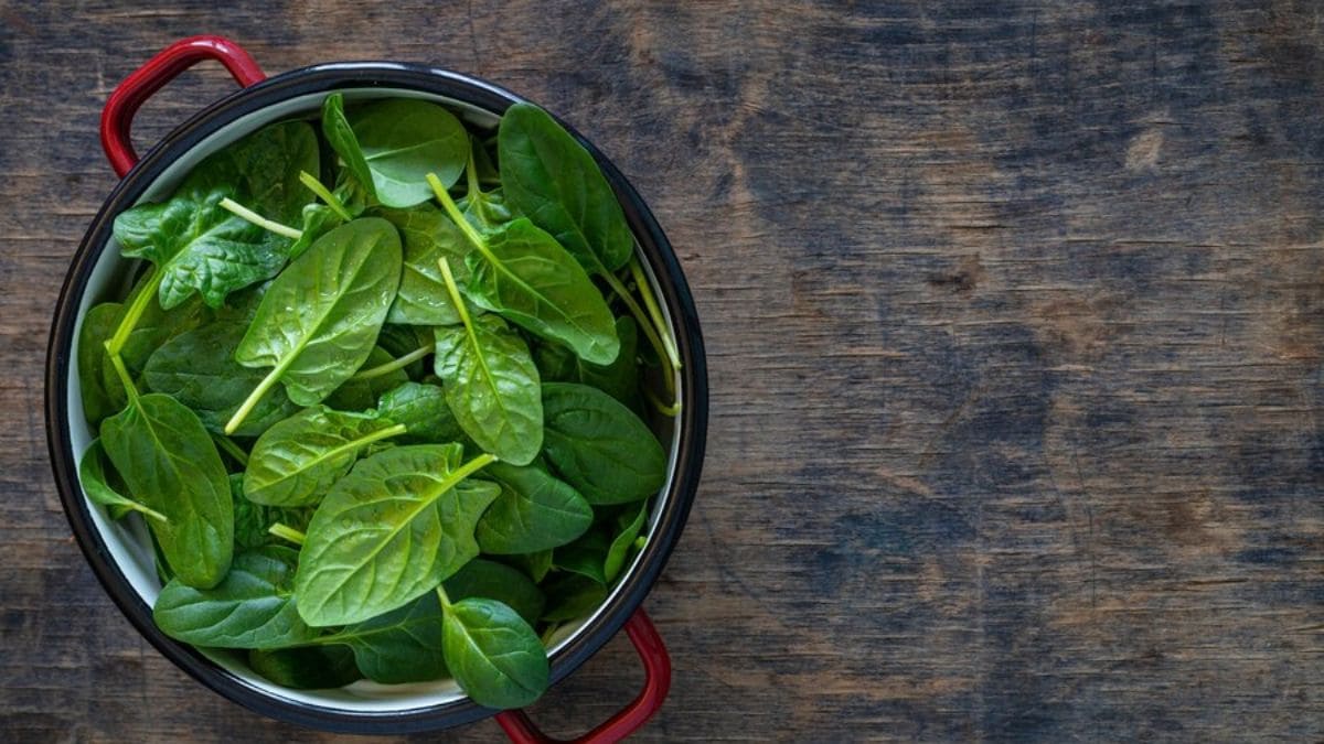 how to make lehesuni palak recipe