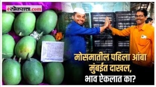 Mangoes in Navi Mumbai APMC Market: नवी मुंबईच्या एपीएमसीत मोसमातील पहिला आंबा दाखल!