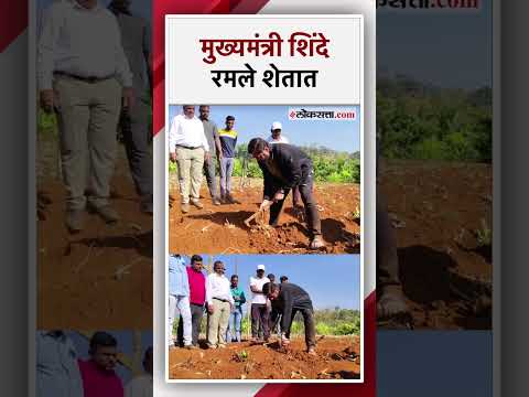 Chief Minister Eknath Shinde working in own farm