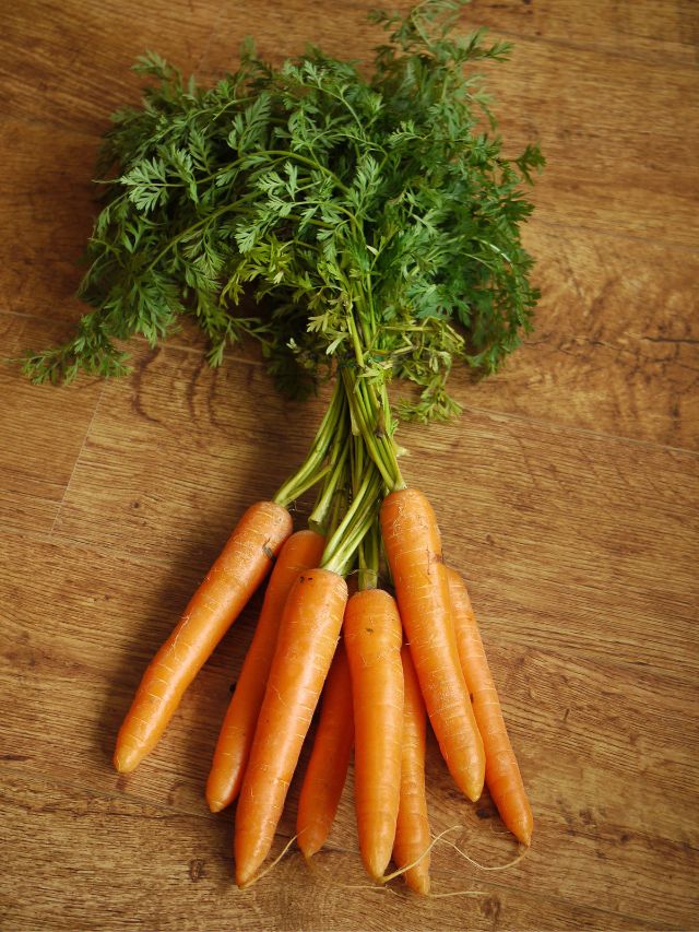 carrot Benefits for Weight loss tips winter diet diabetes health tips gujarati news