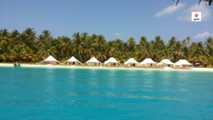 Lakshadweep 8 profitable business opportunities tips gujarati news