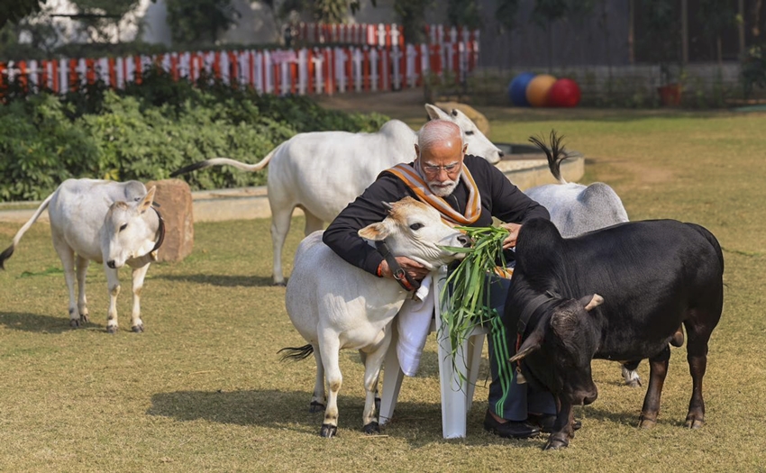 pm residence cow
