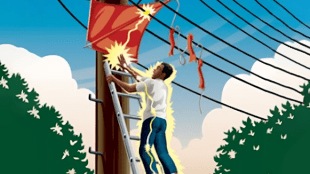 avoid any accidents Mahavitaran fly kites staying away from the electricity system makar sankranti